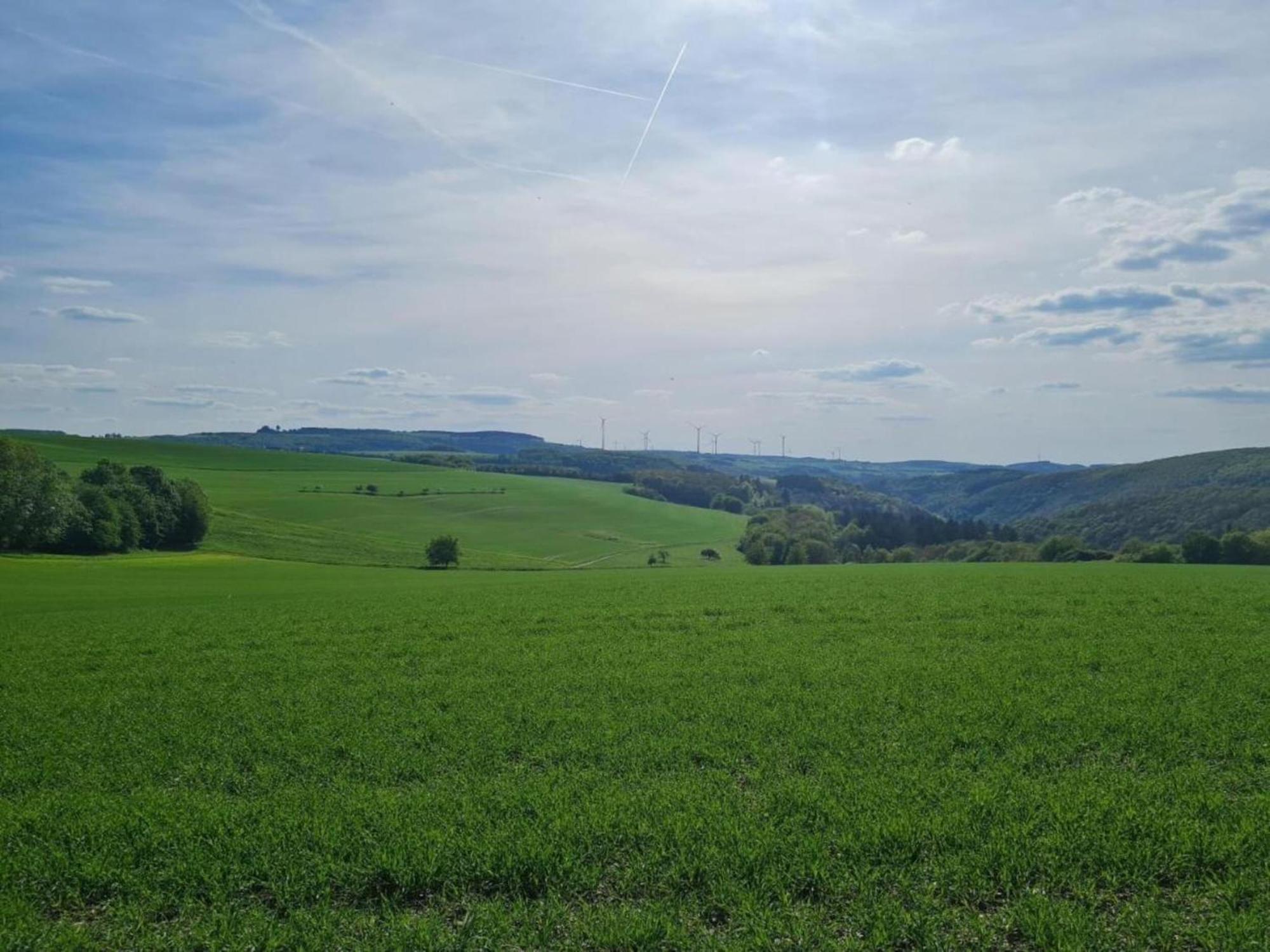 Tranquil Holiday Home In Filz In The Eifel With Garden 외부 사진